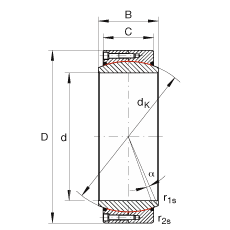 大的關(guān)節(jié)軸承 GE950-DW-2RS2, 根據(jù) DIN ISO 12 240-1 標(biāo)準(zhǔn), 免維護(hù)，兩側(cè)密封